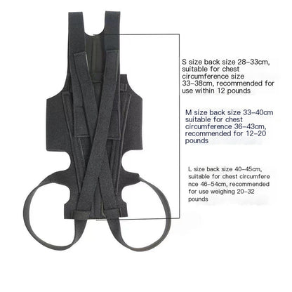Dog Back Brace for IVDD, Arthritis & Recovery